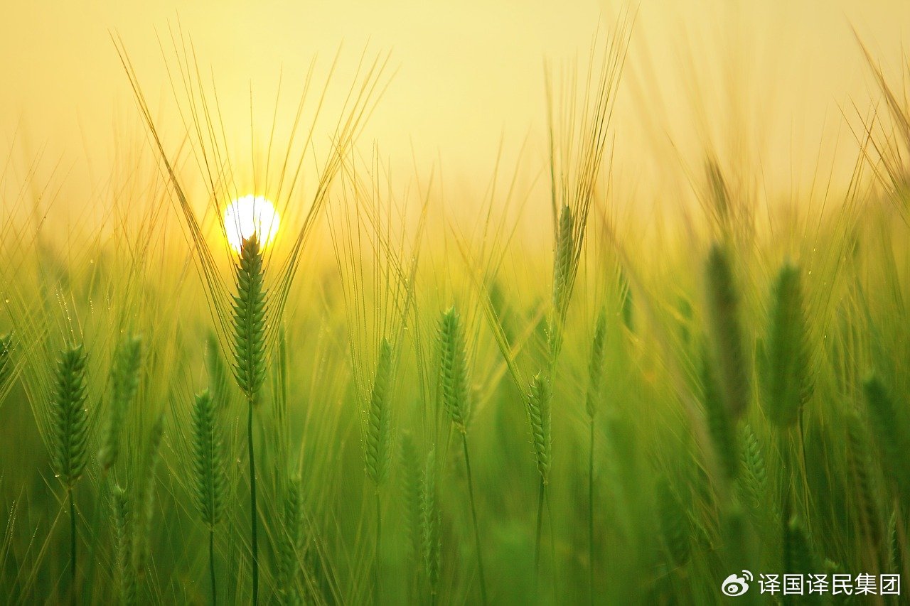 尊龙凯时(中国)人生就是搏!